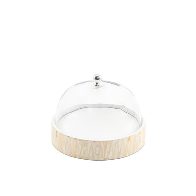 ستاند بقاعدة صدف مع غطاء زجاجي