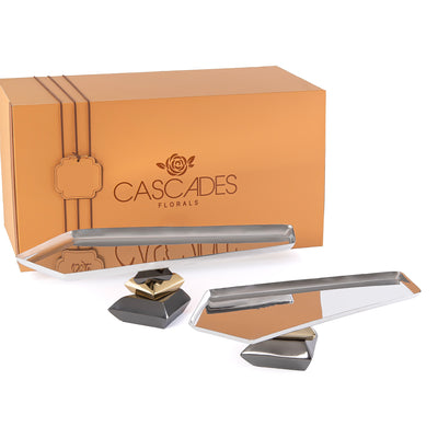 طقم من طبقين معدنيين للتقديم مع علبة هدايا - فضي و ذهبي 