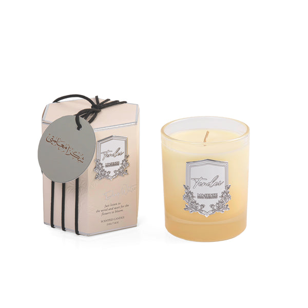 Candle Yellow 100gr