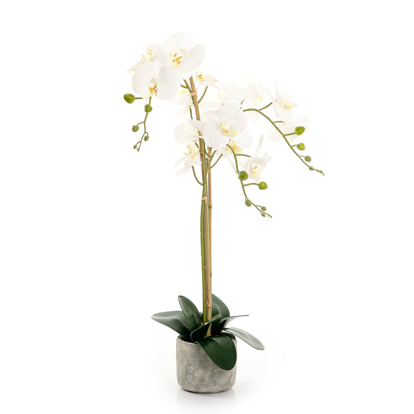 Artificial orchid