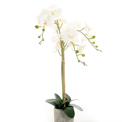Artificial orchid