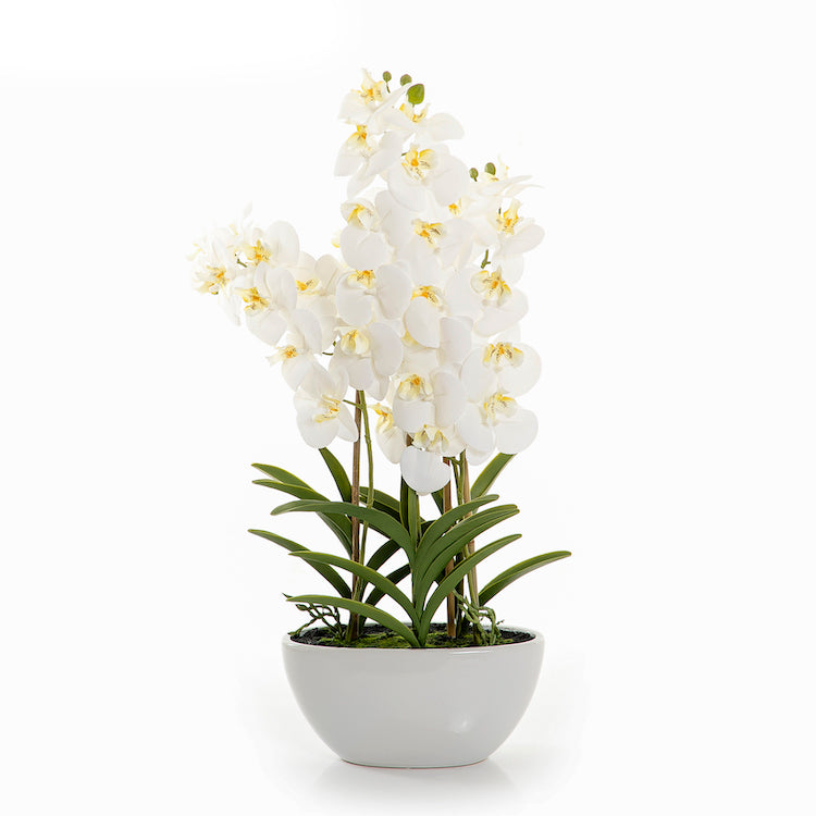 Artificial orchid