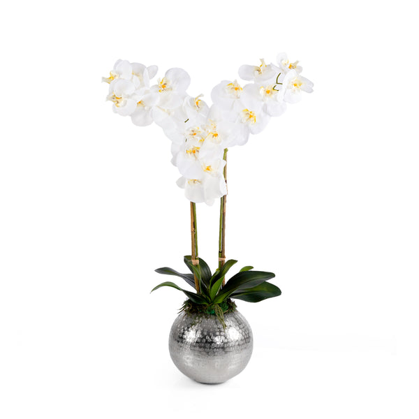 Silver metal vase with Orchid