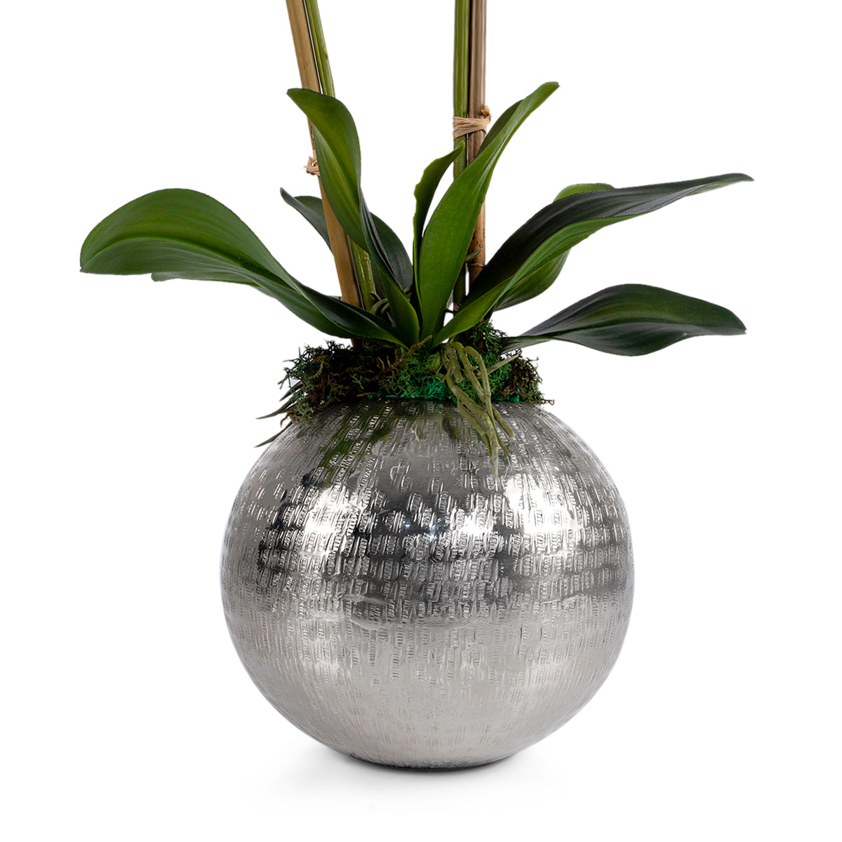 Silver metal vase with Orchid