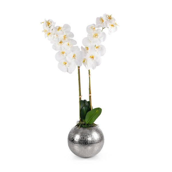 Silver metal vase with Orchid