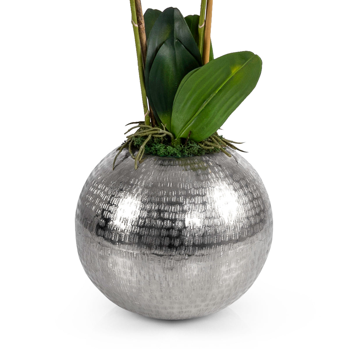 Silver metal vase with Orchid