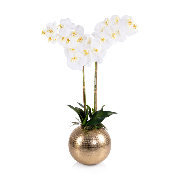 Gold metal vase with Orchid