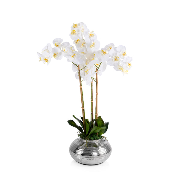 Silver metal vase with Orchid