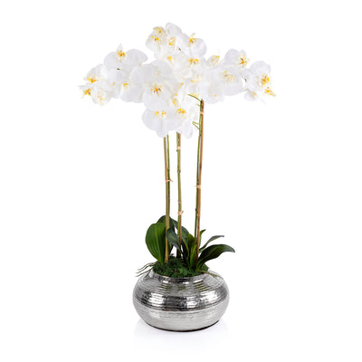 Silver metal vase with Orchid