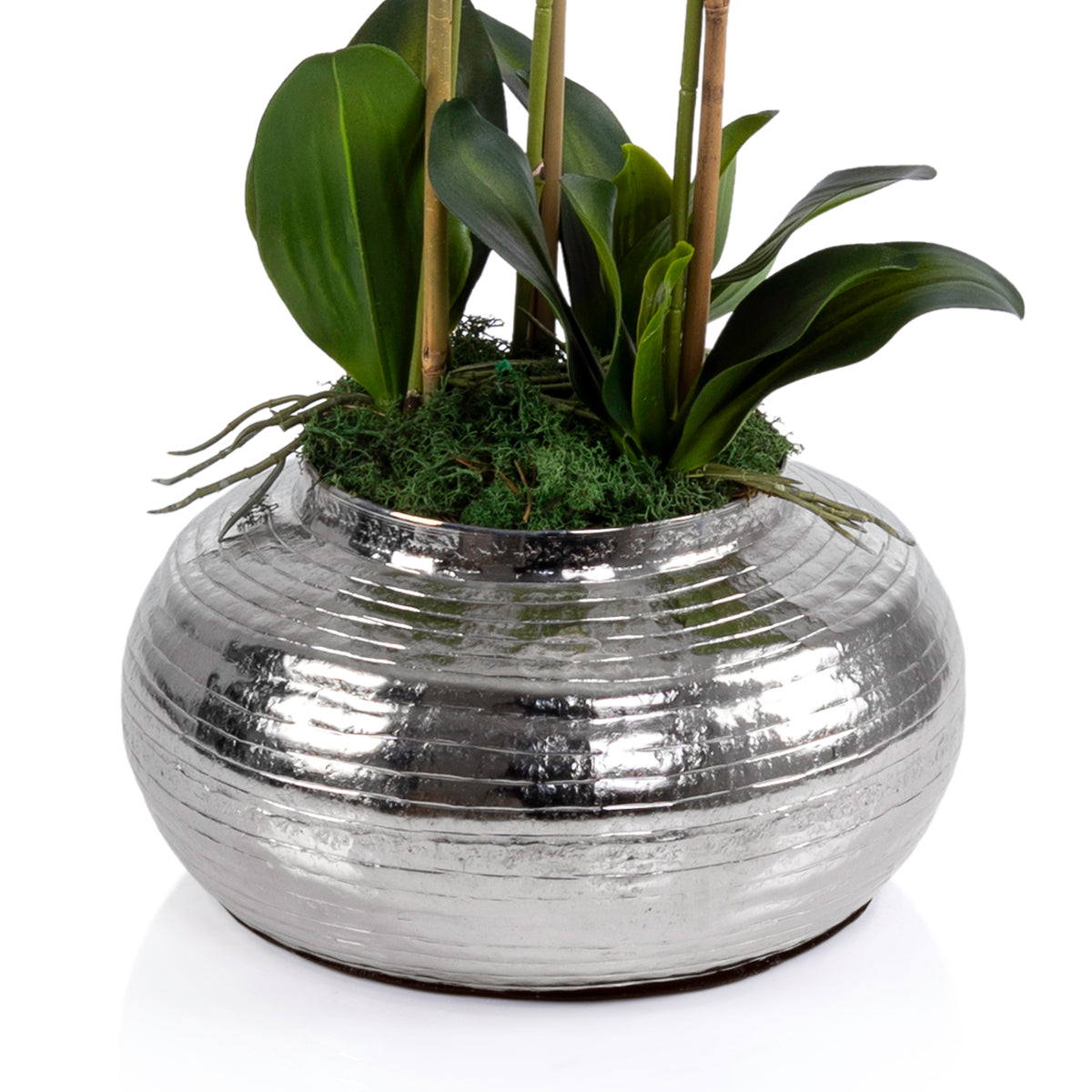 Silver metal vase with Orchid