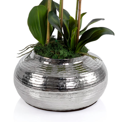 Silver metal vase with Orchid
