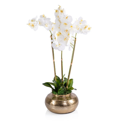 Gold metal vase with Orchid