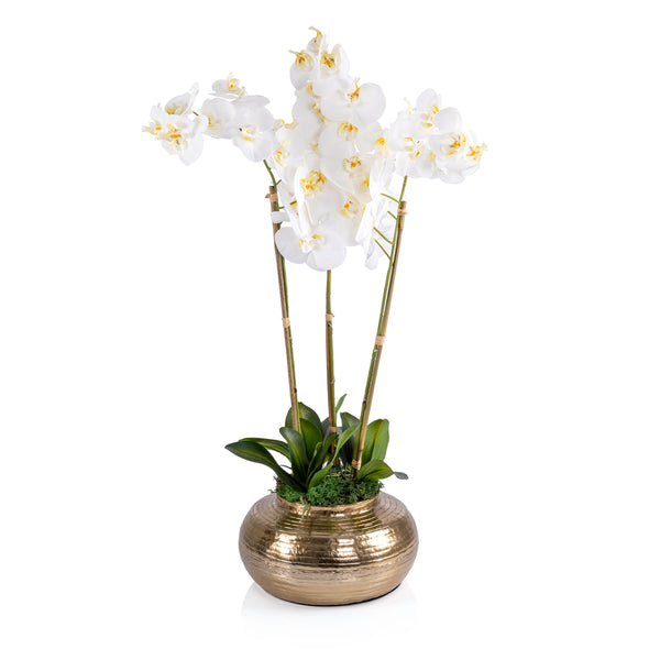 Gold metal vase with Orchid