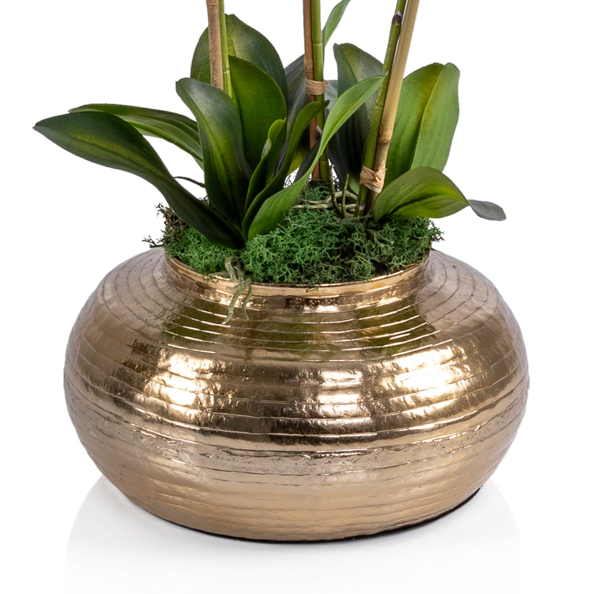 Gold metal vase with Orchid