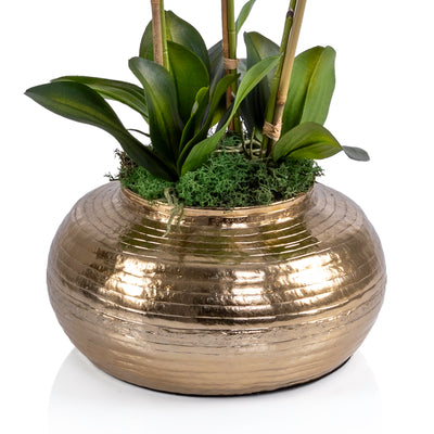 Gold metal vase with Orchid